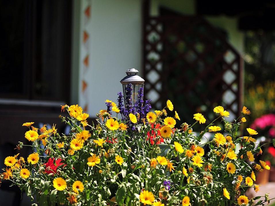 Bed and Breakfast Haus Jochblick Familie Loinger Itter Exterior foto